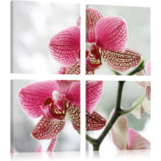 Artgeist Fancy Orkidea taulusetti