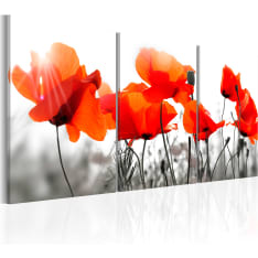 Artgeist Charming Poppies taulusetti