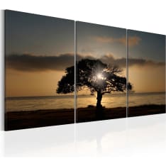 Artgeist Extraordinary Nature taulusetti