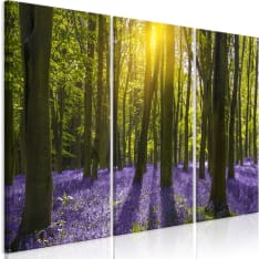 Artgeist Hyacinth Field  taulusetti