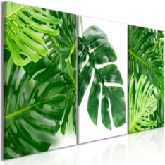 Artgeist Palm Leaves  taulusetti