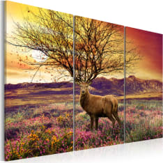 Artgeist Fancy Sakara - Triptyykki taulusetti