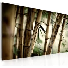 Artgeist In A Tropical Forest taulusetti