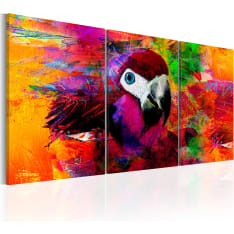 Artgeist Jungle Of Colours taulusetti