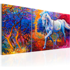 Canvas Print - Valley of Fantasy