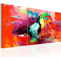 Artgeist Colourful Toucan taulusetti