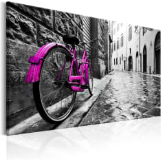 Artgeist Vintage Pink Bike taulu