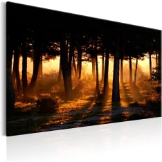 Artgeist Forest Dawn taulu