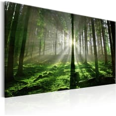 Canvas Print - Emerald Forest II