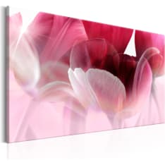 Artgeist Nature: Pink Tulips taulu