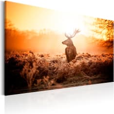 Artgeist Deer In The Sun taulu