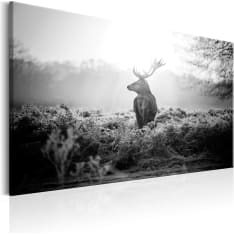 Artgeist Black And White Deer taulu