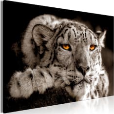 Artgeist Magic Eyes  Wide taulu