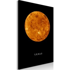 Artgeist Venus  taulu