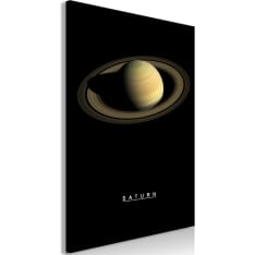 Artgeist Saturn  taulu