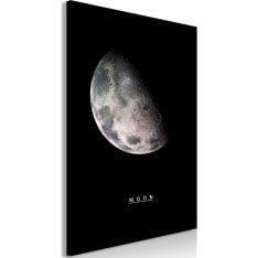 Artgeist Moon  Vertical taulu