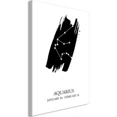 Artgeist Zodiac Signs: Aquarius  Vertical taulu