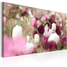 Artgeist Meadow Of Tulips taulu