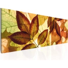 Artgeist Collage - Leaves taulu