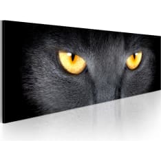 Canvas Print - Look into my eyes...