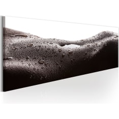 Artgeist Erotic Landscape taulu