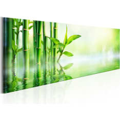 Artgeist Green Bamboo taulu