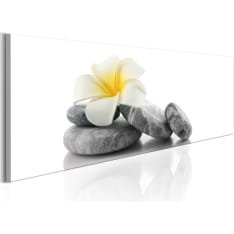 Artgeist White Lotus taulu