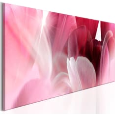 Canvas Print - Flowers: Pink Tulips