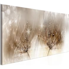 Artgeist Drops Of Dew  Brown Narrow taulu