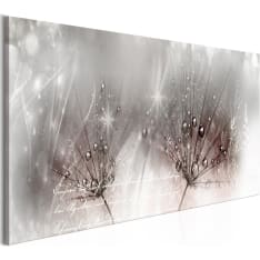 Artgeist Drops Of Dew  Pink Narrow taulu