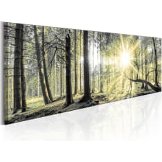 Artgeist Morning Forest taulu