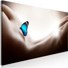 Artgeist Woman And Butterfly  Narrow taulu