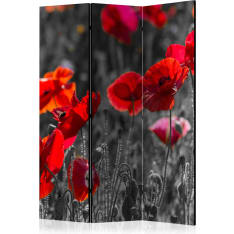 Artgeist Red Poppies 3-osainen sermi