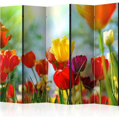 Artgeist Spring Tulips 5-osainen sermi