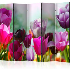 Artgeist Beautiful Tulips 5-osainen sermi