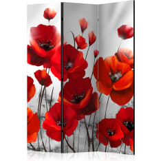 Artgeist Poppies In The Moonlight 3-osainen sermi