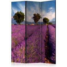 Artgeist Lavender Field In Provence, France 3-osainen sermi