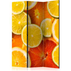 Artgeist Citrus Fruits 3-osainen sermi