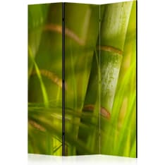 Artgeist Bamboo - Nature Zen 3-osainen sermi