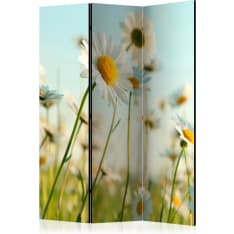 Artgeist Daisies - Spring Meadow 3-osainen sermi