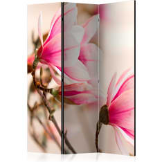 Artgeist Branch Of Magnolia Tree 3-osainen sermi