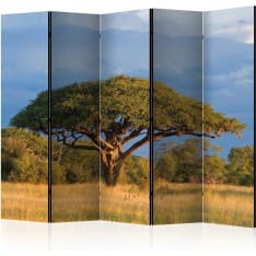 Artgeist African Acacia Tree, Hwange National Park, Zimbabwe 5-osainen sermi