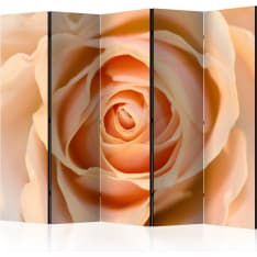 Artgeist Peach-Colored Rose 5-osainen sermi