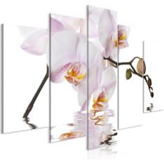 Artgeist Delightful Orchid  Wide taulusetti