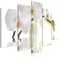 Artgeist Wonderful Orchid  Wide taulusetti