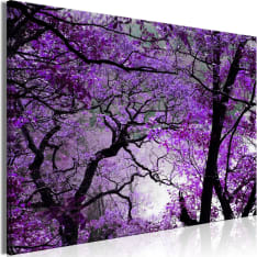 Artgeist Purple Afternoon  Wide taulu