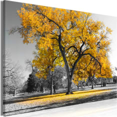 Artgeist Autumn In The Park  Wide Gold taulu