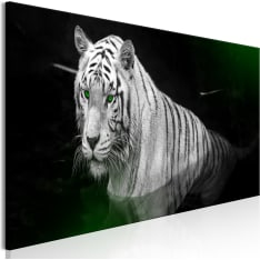 Artgeist Shining Tiger  Green Narrow taulu