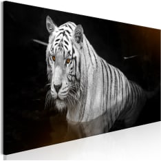 Canvas Print - Shining Tiger (1 Part) Orange Narrow