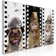 Artgeist Funny Pets (Collection) taulusetti